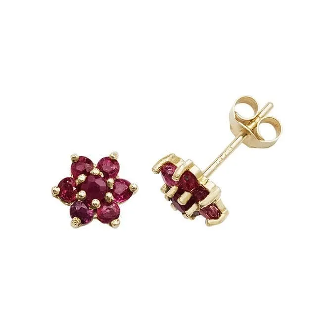 9ct Yellow Gold Ruby Stud Earrings ES544RB