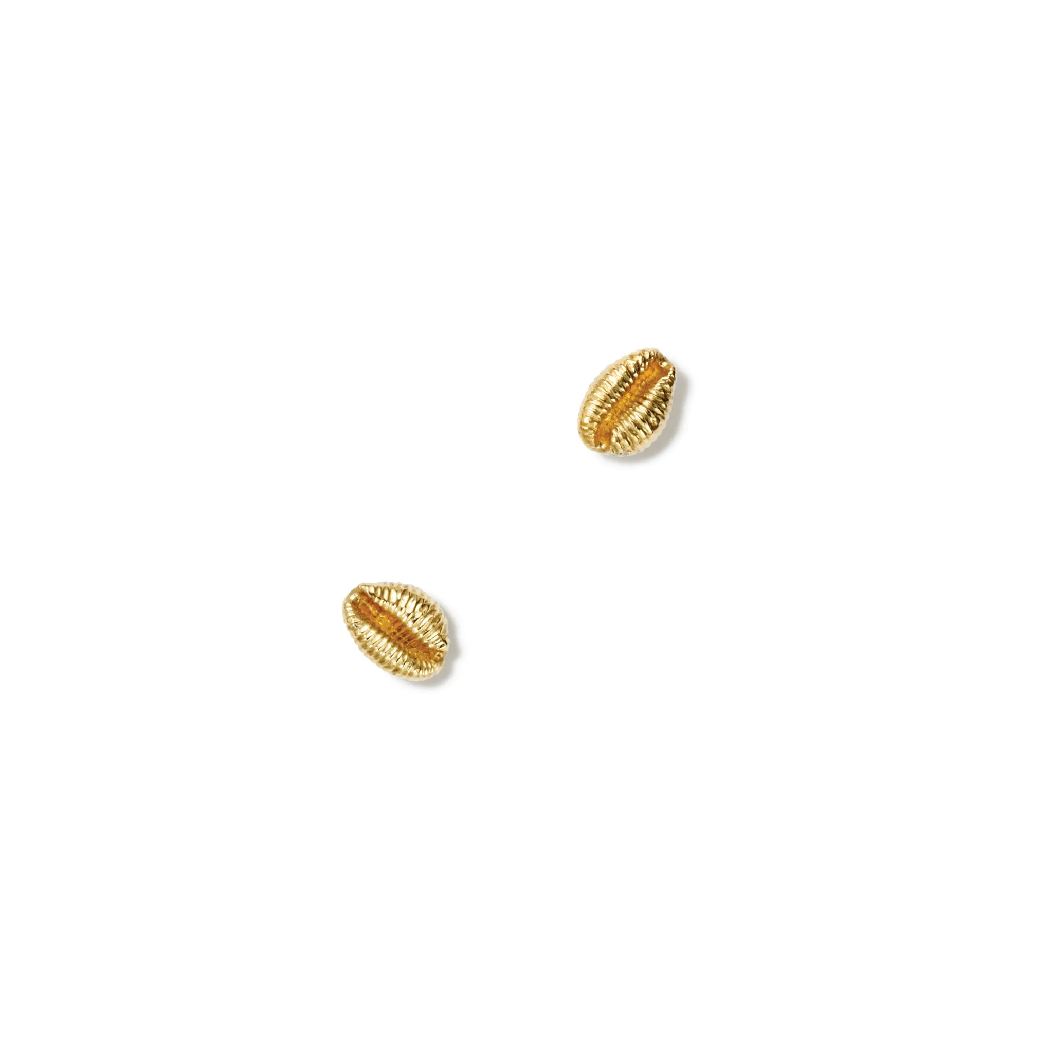 Cowrie Shell Small Earrings Yellow Gold