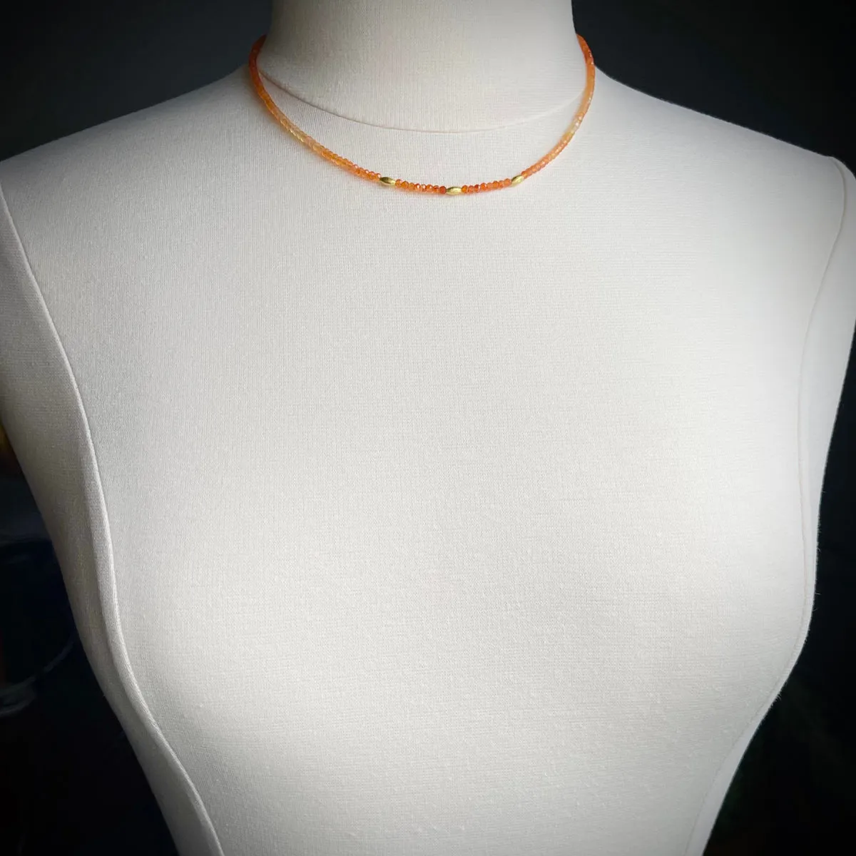 Ombre Carnelian Necklace with Gold Rice Beads