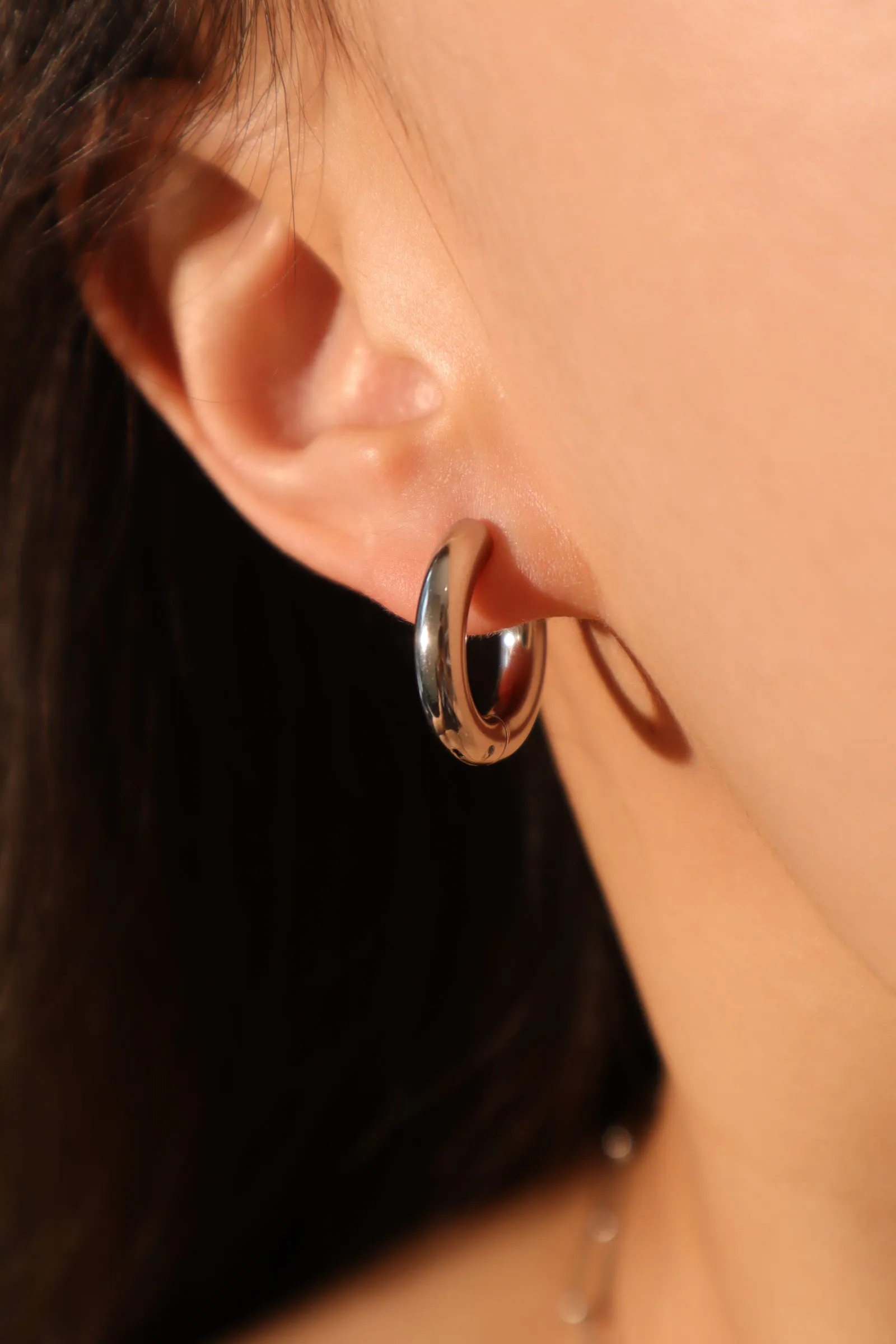 Stainless Steel Classic Hoops Earrings