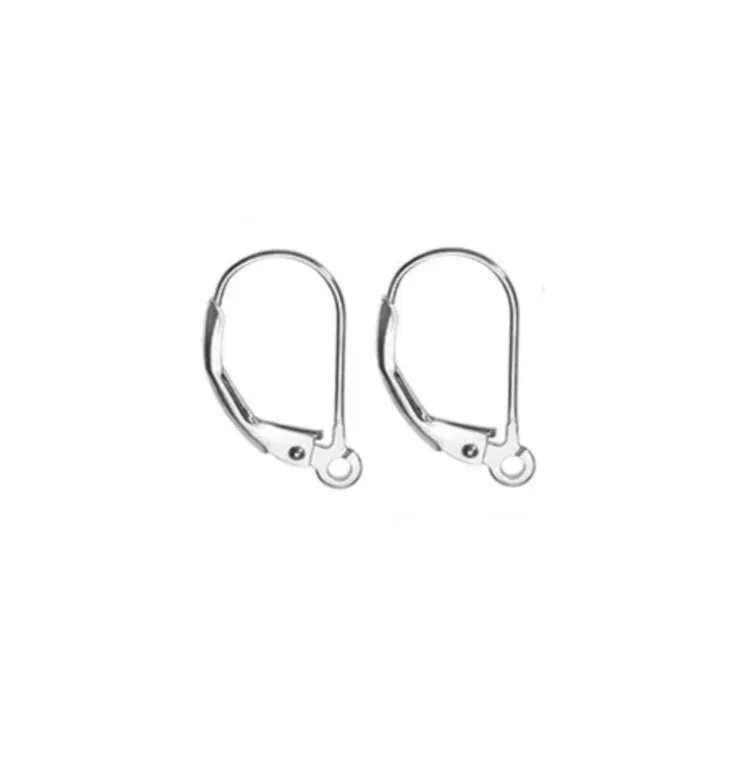 Stainless Steel Leverback Earring Hooks